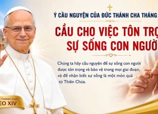 Ý Cầu Nguyện của Đức Thánh Cha Tháng 7/2026