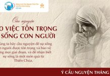 Ý CẦU NGUYỆN CỦA ĐỨC THÁNH CHA THÁNG 7/2026: CẦU CHO VIỆC TÔN TRỌNG SỰ SỐNG CON NGƯỜI