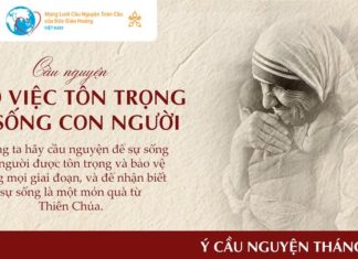 Ý CẦU NGUYỆN CỦA ĐỨC THÁNH CHA THÁNG 7/2026: CẦU CHO VIỆC TÔN TRỌNG SỰ SỐNG CON NGƯỜI