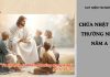 Suy Niệm Chúa Nhật XIV Thường Niên Năm A