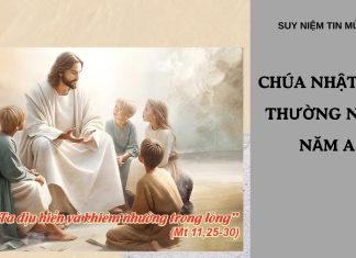 Suy Niệm Chúa Nhật XIV Thường Niên Năm A