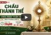 CHẦU THÁNH THỂ – Chúa Nhật XIV Thường Niên A