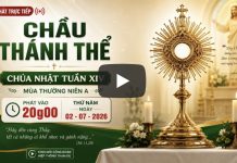 CHẦU THÁNH THỂ – Chúa Nhật XIV Thường Niên A
