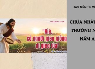Suy Niệm Chúa Nhật XV Thường Niên Năm A