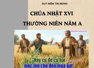 Suy Niệm Chúa Nhật XVI Thường Niên Năm A