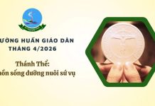 Thánh Thể: Nguồn sống dưỡng nuôi sứ vụ