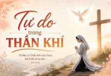 Tự do trong Thần Khí