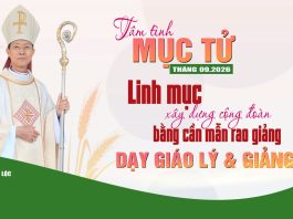 Tâm Tình Mục Tử tháng 9 năm 2026 : Linh mục xây dựng cộng đoàn bằng cần mẫn rao giảng: Dạy giáo lý và Giảng lễ