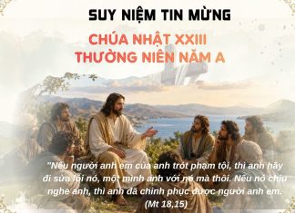 Sửa lỗi trong tình bác ái – Suy niệm Chúa nhật XXIII Thường niên A