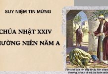 Không phải cho chính chúng ta – Suy niệm chúa nhật XXIV Thường Niên Năm A của Cha Roberto Pasolini