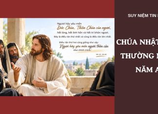 “Giới luật yêu thương” – Chúa nhật XXX Thường niên năm A