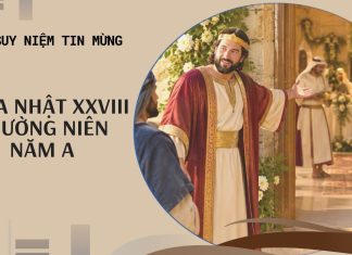 “Được mời vào dự tiệc cưới Nước Trời” – Suy niệm Chúa nhật XXVIII Thường niên năm A